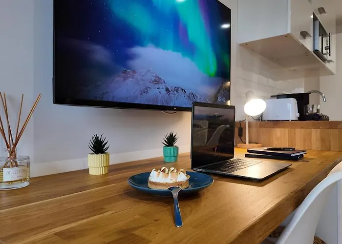 Panorama Riviera Vue Montagne Et Parking Niza